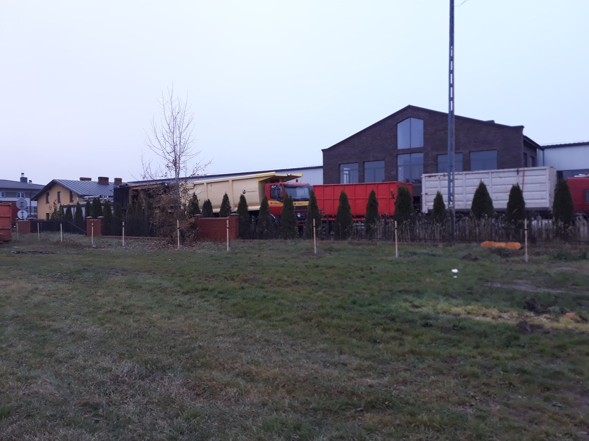 Tegoroczna akcja sadzenia drzew rozpoczęta!