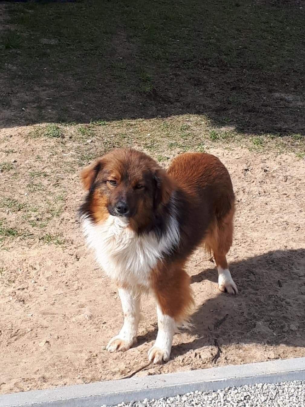 169647397 1459170911096771 422920641959906023 n