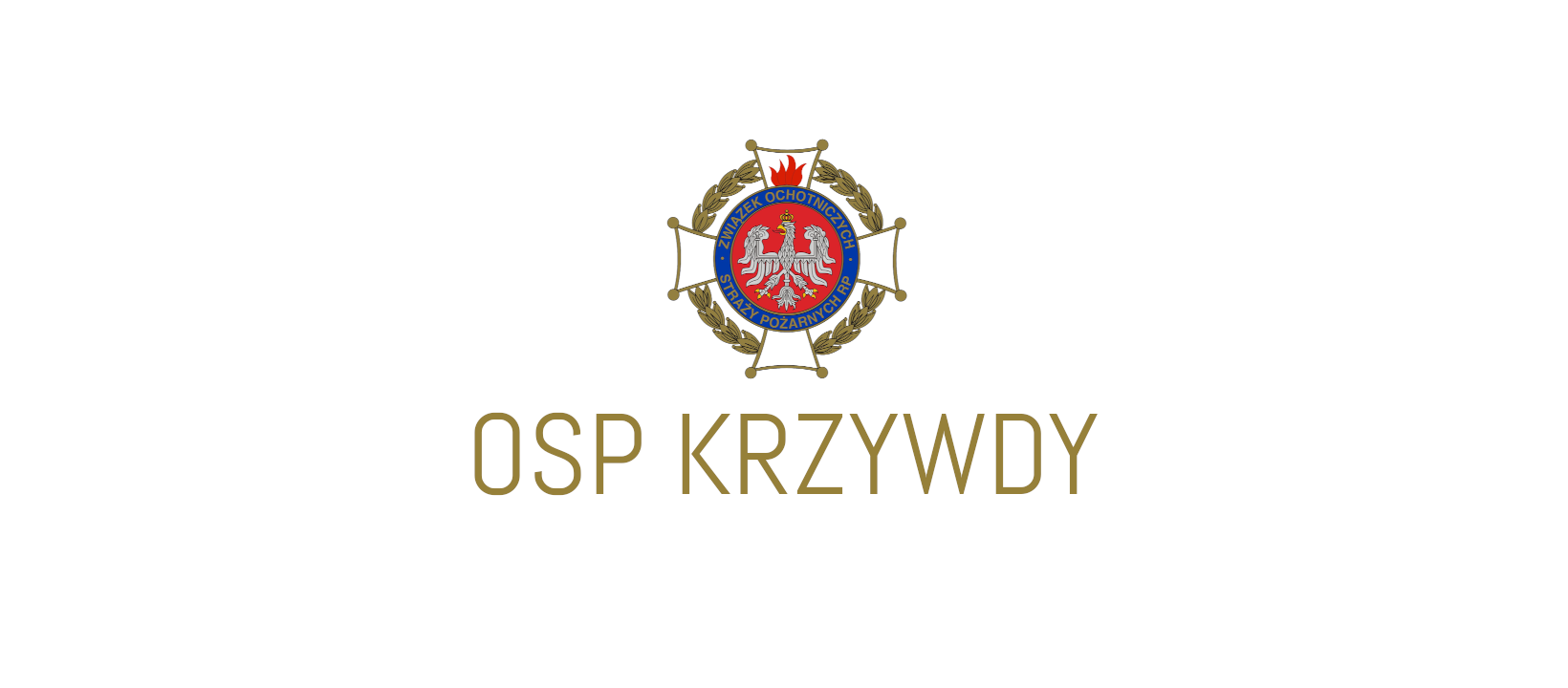 Zebranie sprawozdawczo–wyborcze w OSP Krzywdy
