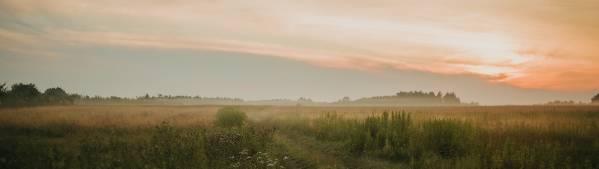 Nowe połączenia autobusowe w naszej gminie!