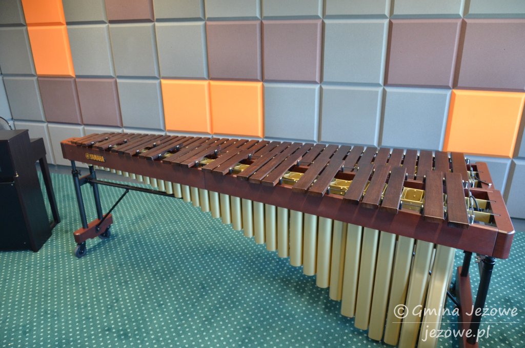 Dofinansowanie na zakup instrumentów dla SSM