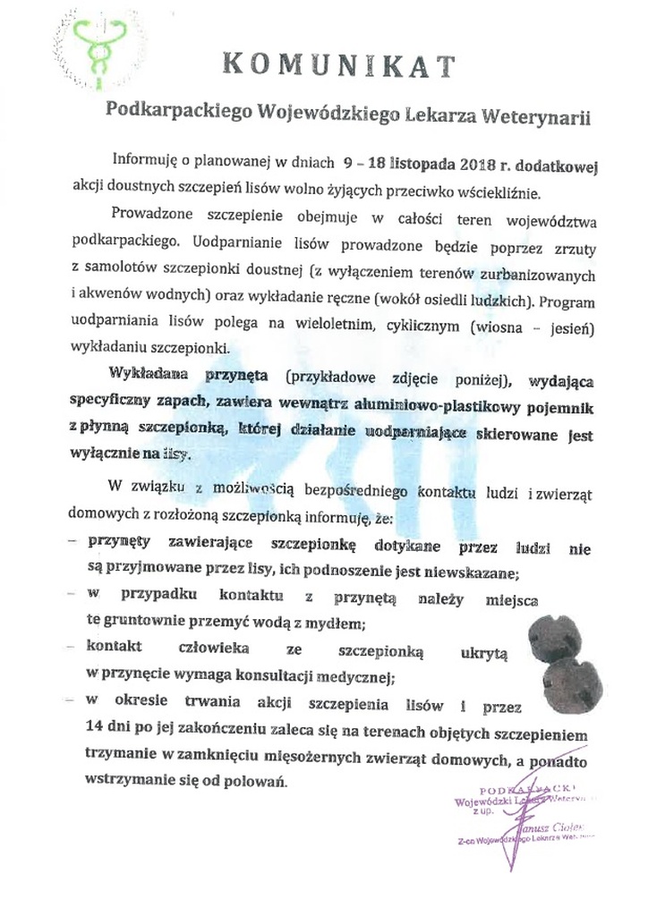 szczepienie lisow