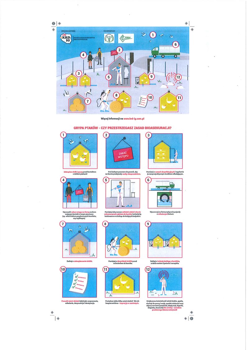 Apel do hodowc&oacute;w drobiu ptasia grypa 3