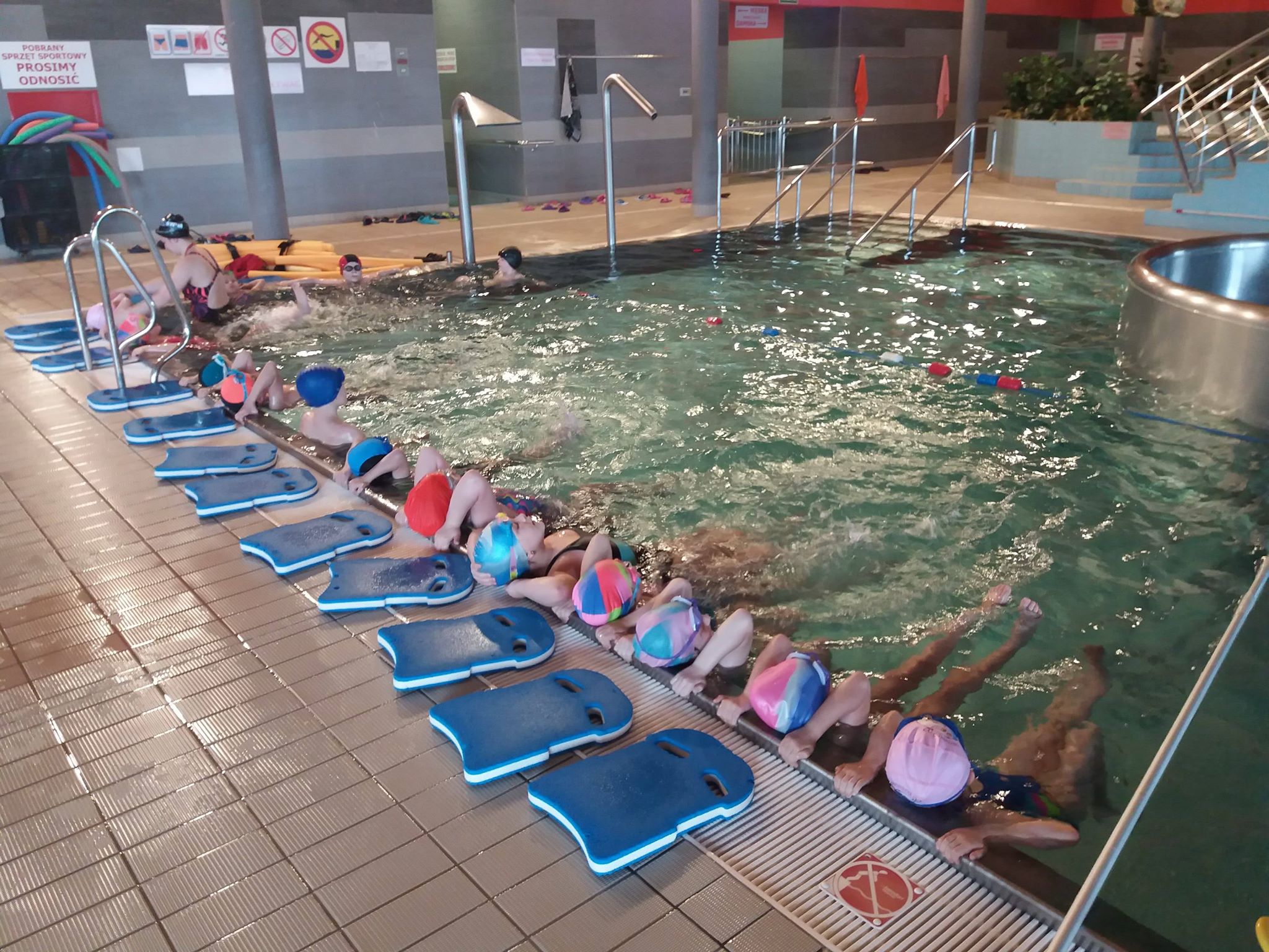 54800020 2268776633369730 4335055541488320512 n