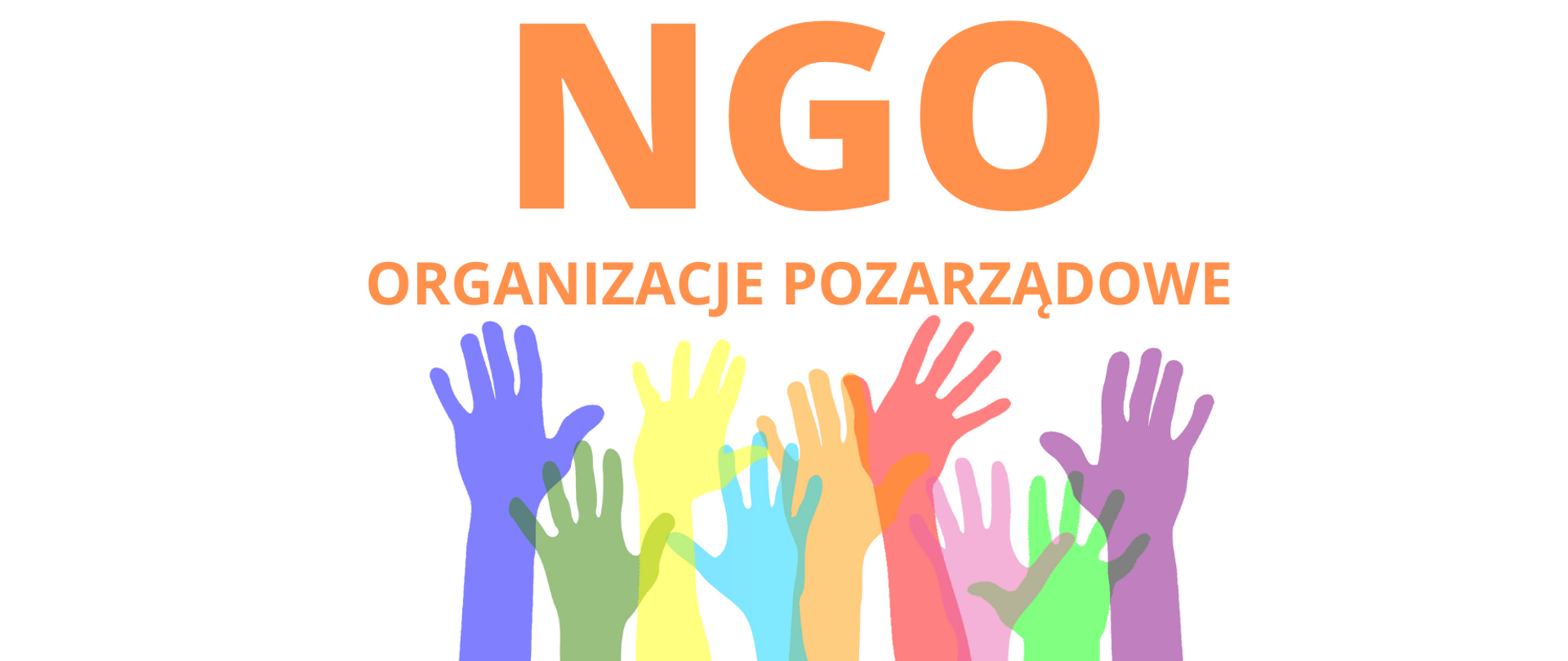 Organizacje pozarządowe (NGO)