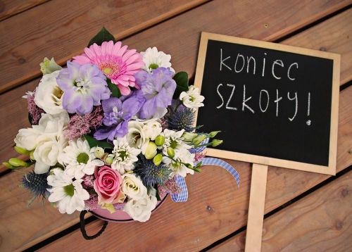 Rozpoczynamy wakacje 2019 