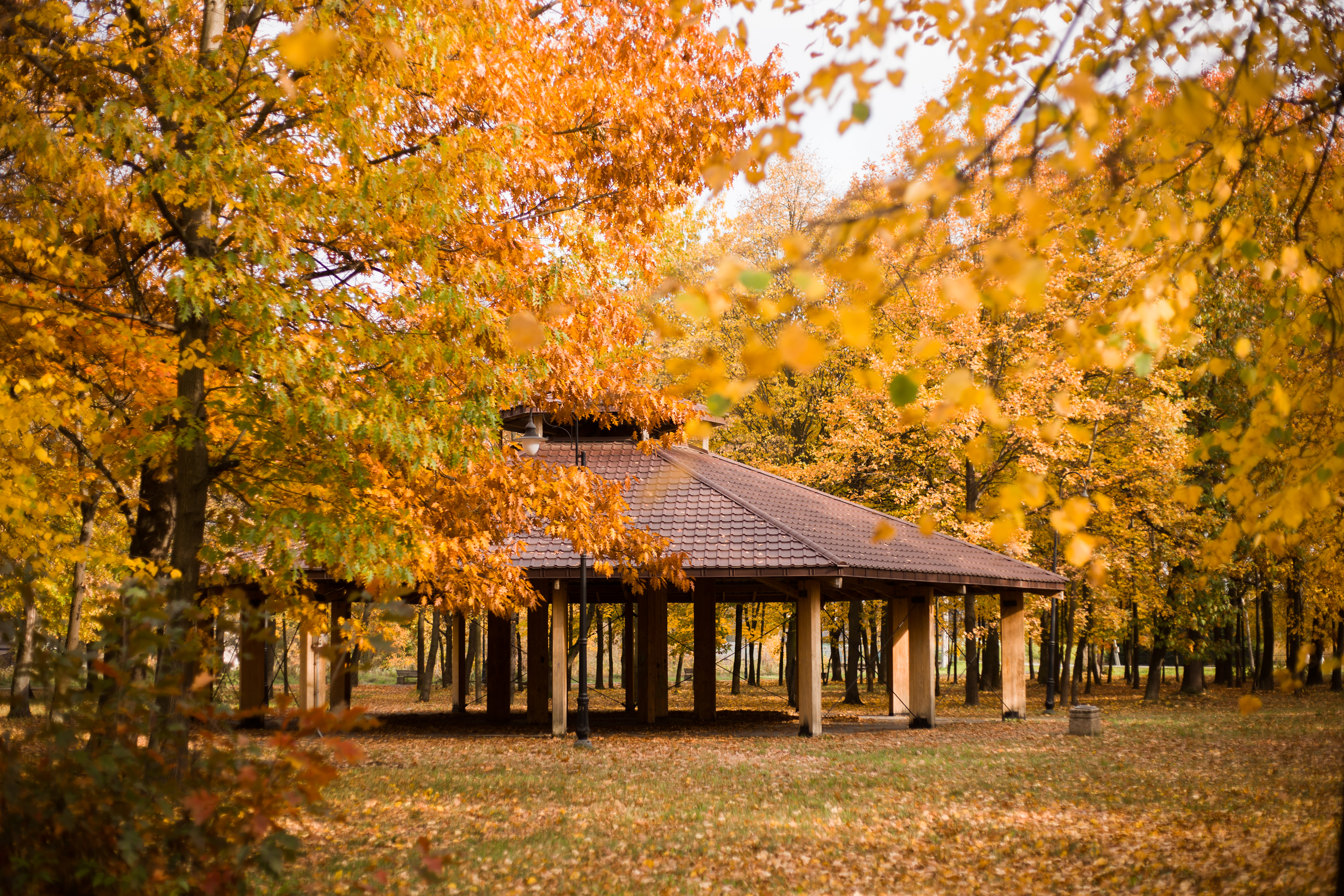 🍂Jesień w Gminie Jeżowe