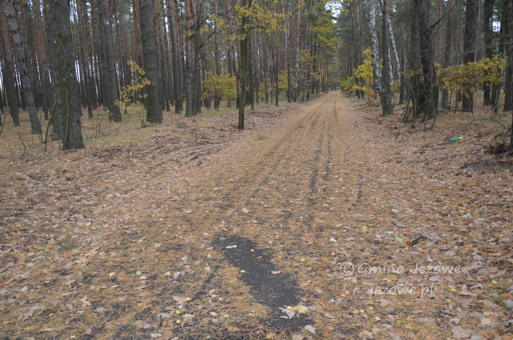 Droga w Kowalach oddana do użytku