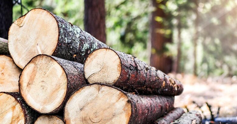 OGŁOSZENIE - Sprzedaż drzew na pniu rosnących na działce ewidencyjnej nr 864/2 położonej w miejscowości Jata 