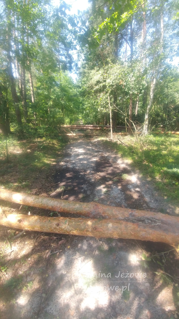 Komunikat - prosimy usunąć drzewa z dróg!!!