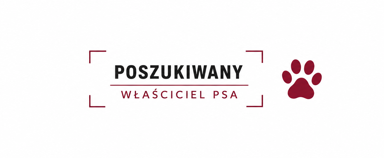 Poszukujemy właścicieli zabłąkanych psów